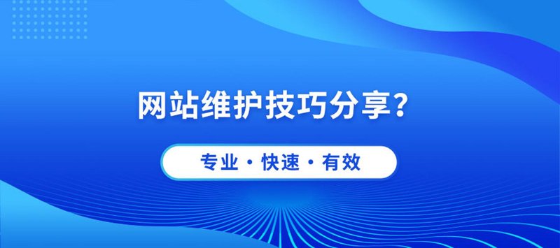 网络技术服务